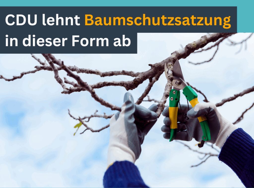 Satzung aussetzen: Das fordert die CDU-Fraktion im Sinne eines Baumschutzes mit Akzeptanz bei den B�rgern. Bild: CDU 